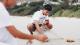 Man crouched in sand on beach
